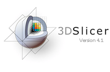 3D Slicer